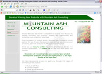 Mountain Ash Consulting